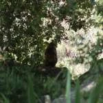 DSCF1539 t