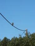DSCF1255