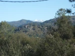 DSCF1330