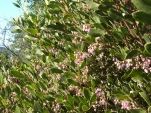 DSCF1256