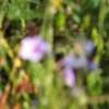 DSCF1496 t