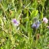 DSCF1495 t