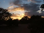 DSCF1852