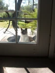 DSCF1310
