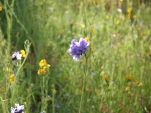 DSCF1493