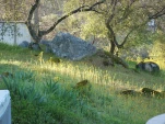 DSCF1473