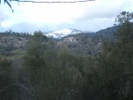 DSCF1316