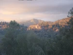 DSCF1307