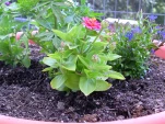 DSCN0227