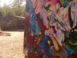 DSCN0287