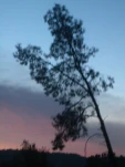 DSCN0314