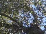 DSCN0370