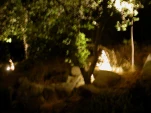 DSCN0295
