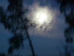 DSCN0359