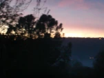 DSCN0316