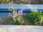 DSCN0307