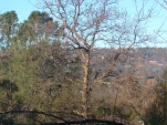 DSCN0367