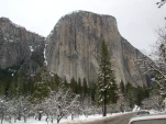 DSCN0334