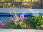 DSCN0308