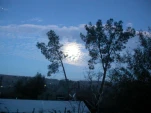 DSCN0360