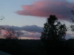 DSCN0376