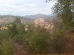 DSCN0255