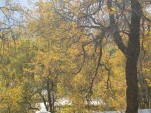 DSCN0320