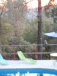 DSCN0238