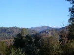 DSCN0373