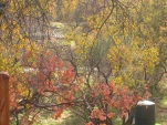 DSCN0319