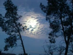 DSCN0361