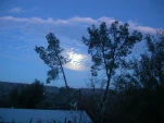 DSCN0364