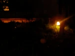 DSCN0294
