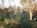 DSCF0200