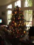 DSCF0379