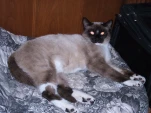 DSCF0343