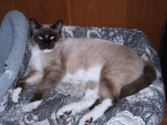 DSCF0345