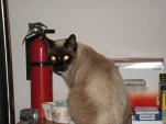 DSCF0342