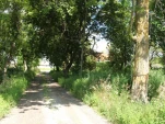 DSCF0982