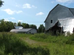 DSCF0977