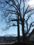 DSCF0740