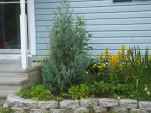 DSCF0943