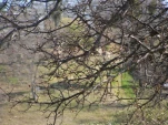 DSCF0199