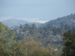 DSCF0394