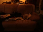 DSCF0903