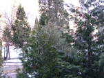 DSCF0855