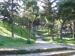 DSCF0482
