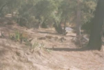 07773 12