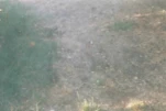 07773 06