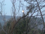 DSCN0384